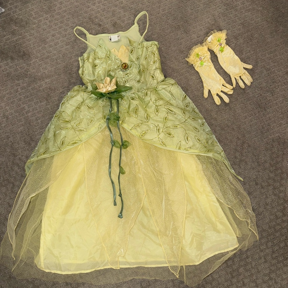 Disney Tiana costume
